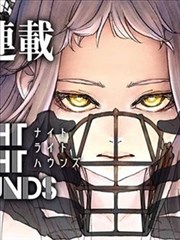 TOP5 我独自升级